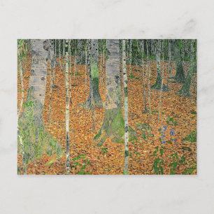 Birch Wood, 1903 Vykort