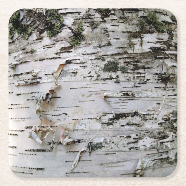 Birch Wood Underläggs 001 Underlägg Papper Kvadrat (Framsidan)