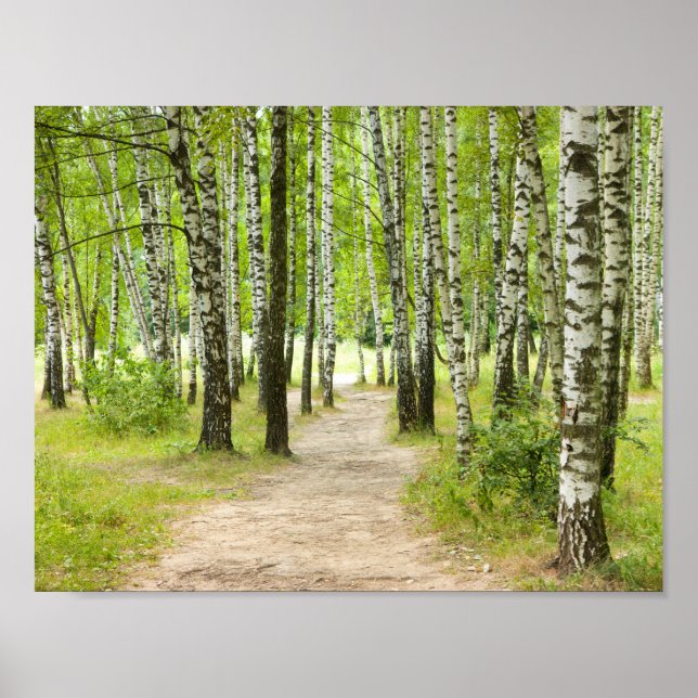 Birchwood Poster (Framsidan)