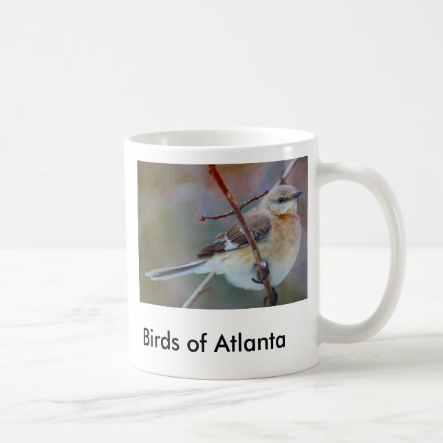 bird1 fåglar av Atlanta Kaffemugg (Höger)