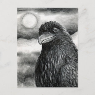 Bird 64 Kråka Raven Vykort