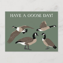 Bird Älskare Canada Geese Illustration Anpassnings