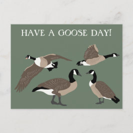 Bird Älskare Canada Geese Illustration Anpassnings Vykort