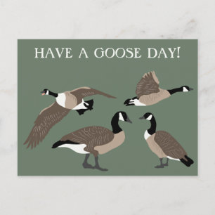 Bird Älskare Canada Geese Illustration Anpassnings Vykort
