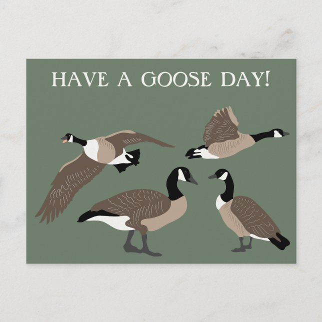 Bird Älskare Canada Geese Illustration Anpassnings Vykort (Framsida)