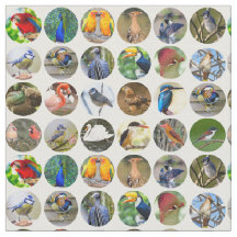 Bird Älskare Fabric