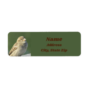 Bird Älskare Small Brown Feather Vild Sparrow Returadress Etikett