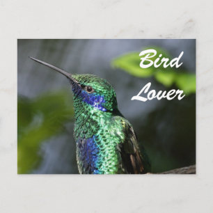 Bird Älskare Vykort