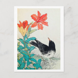 Bird and Lily, Imao Keinen Vykort