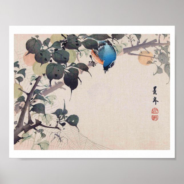Bird and Spider, Imao Keinen Poster (Framsidan)