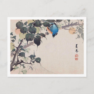 Bird and Spider, Imao Keinen Vykort