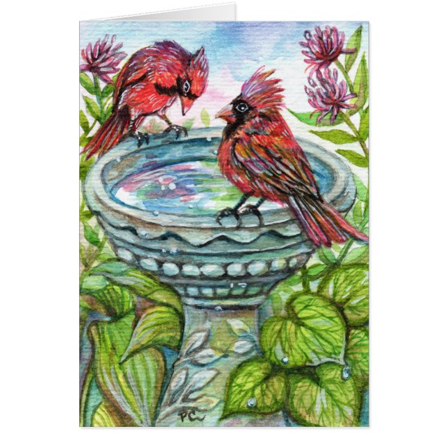 Bird Bath OBS Kort (Framsidan)