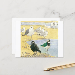 Bird Beach Wildlife Jackdaw Gull Sea Postcard Vykort