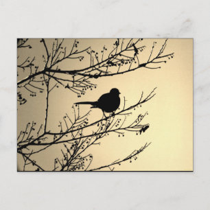 "Bird Black" JTG Art Postkort Vykort