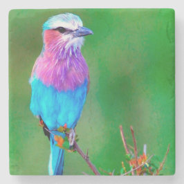 Bird blue _babero stenunderlägg