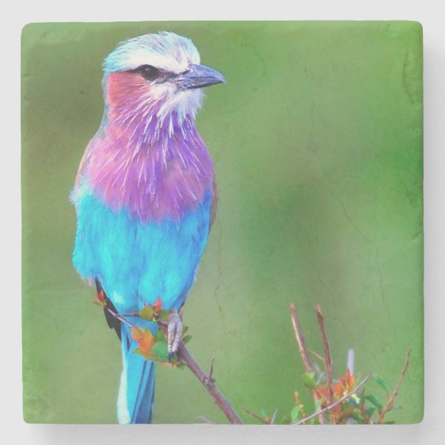 Bird blue _babero stenunderlägg (Framsidan)