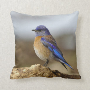 Bird, Bluebird, tvåsidigt, Kudde