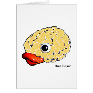 Bird Brain Hälsningskort