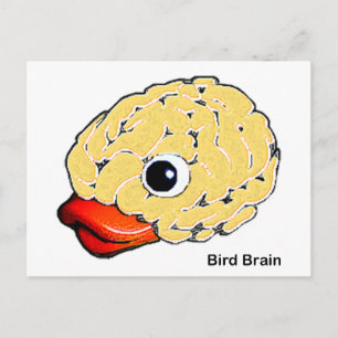 Bird Brain Vykort