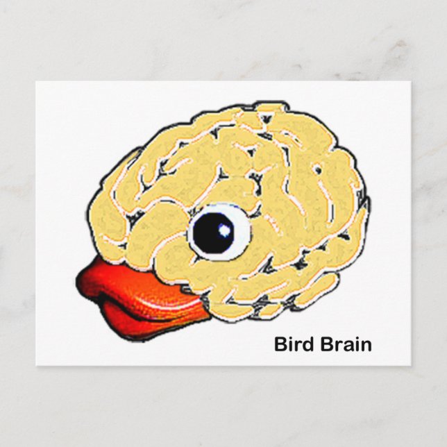 Bird Brain Vykort (Framsida)