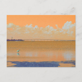 Bird Bridge Orange Blue River Florida Vykort