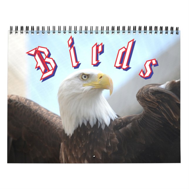Bird Calendar Kalender (Omslag)