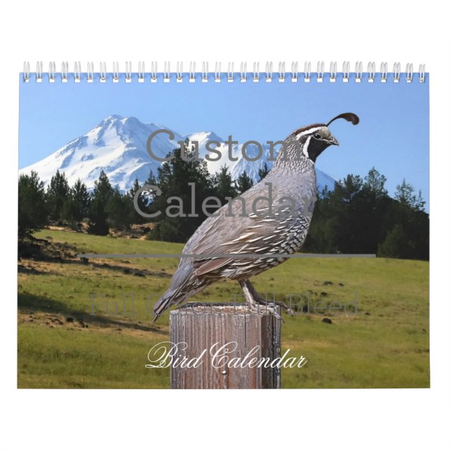 BIRD CALENDAR KALENDER (Omslag)