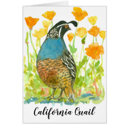 Bird California Quail Orange Poppies Hälsningskort