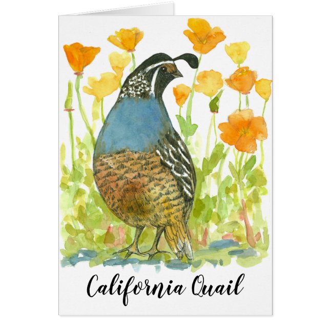 Bird California Quail Orange Poppies Hälsningskort (Framsidan)