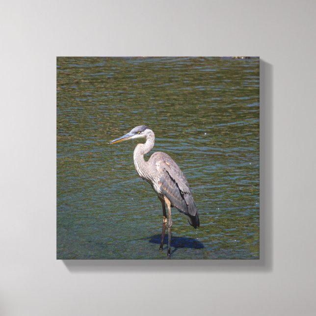 Bird Canvas (Framsida)