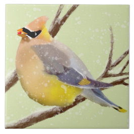 Bird, Cedar Waxwing, Ceramic Kitchen Tile Kakelplatta