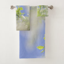 Bird Cherry Träd Blommar Flowers Himlar