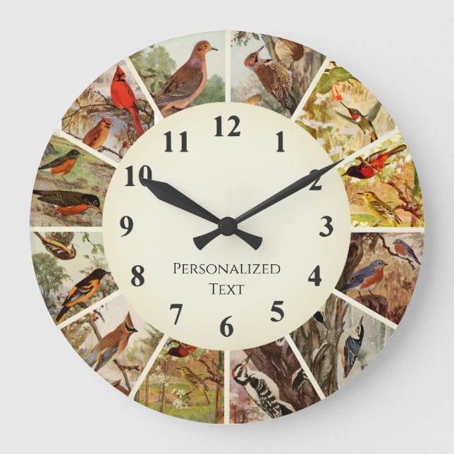 Bird Clock - Birds of the America Stor Klocka (Framsida)