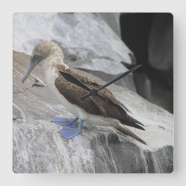 Bird Clock Fyrkantig Klocka