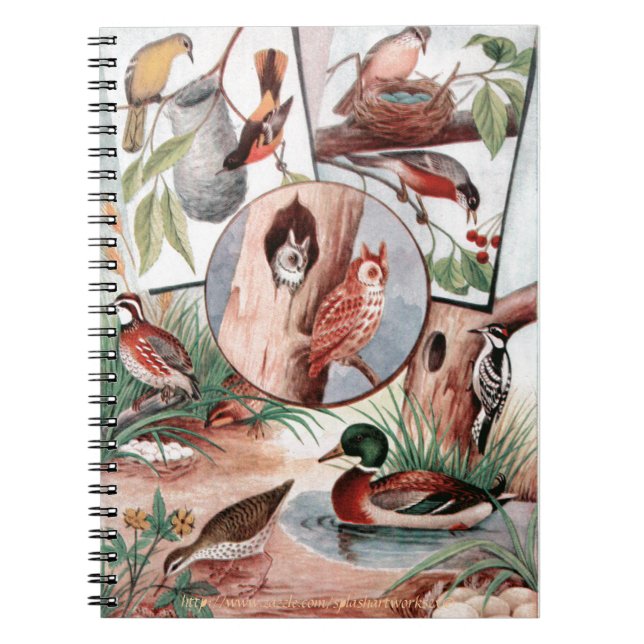 "Bird Combo" Anteckningsbok Med Spiral (Framsidan)