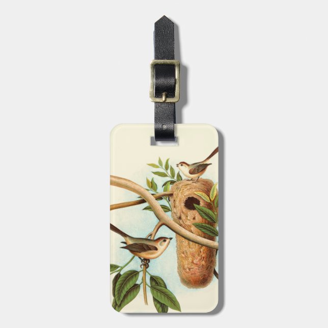 Bird Couple på en bo Perched på Gren Bagagebricka (Vertikal Framsida)