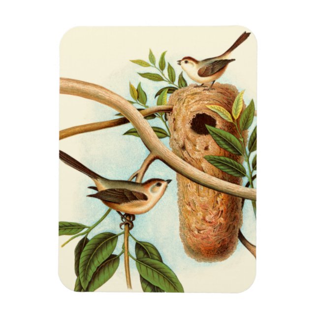 Bird Couple på en bo Perched på Gren Magnet (Vertikal)