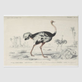 Bird Ephemera Decoupage Fransk Ostrich