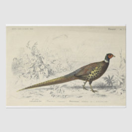 Bird Ephemera Decoupage Fransk Pheasant