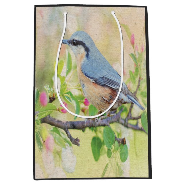 Bird Fanatic (Framsidan)