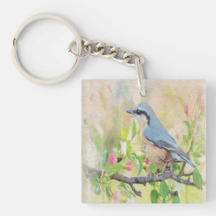 Bird Fanatic