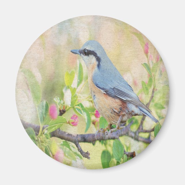 Bird Fanatic Magnet (Framsidan)