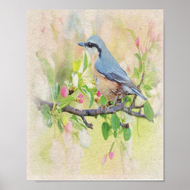 Bird Fanatic Poster (Framsidan)