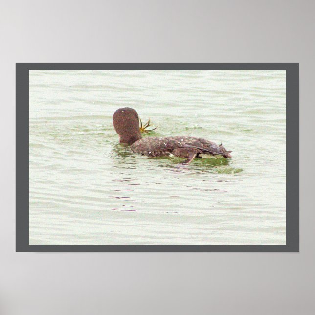 Bird Fishing in Ocean Poster (Framsidan)