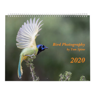 Bird Fotography by Tom Spine, 2020 Calendar Kalender