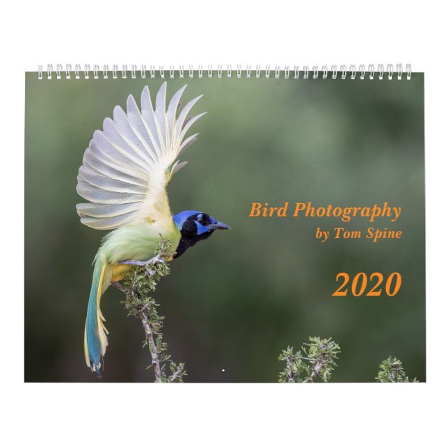 Bird Fotography by Tom Spine, 2020 Calendar Kalender (Omslag)