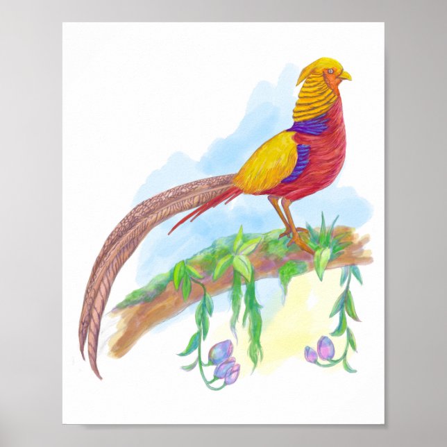 Bird Golden Pheasant Poster (Framsidan)