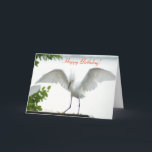 Bird Grattis på födelsedagen Sister Greeting Card Kort<br><div class="desc">Detta "foto" är upphovsrättsskyddat av mig,  Christina Spiegeland. Detta fotografi får INTE säljas på Amazon. Välkomna kort med frasen "Grattis på födelsedagen!,  med ett foto av en vit Egret Bird som tänder hennes vingar". Insidan av kortet säger "Grattis på födelsedagen! Till världens Underbarare syster!" Copyright 2015-2016,  av Christina Spiegeland.</div>