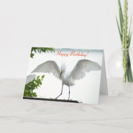 Bird Grattis på födelsedagen Sister Greeting Card Kort