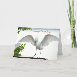 Bird Grattis på födelsedagen Sister Greeting Card Kort